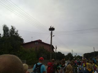 Zdjęcie 05